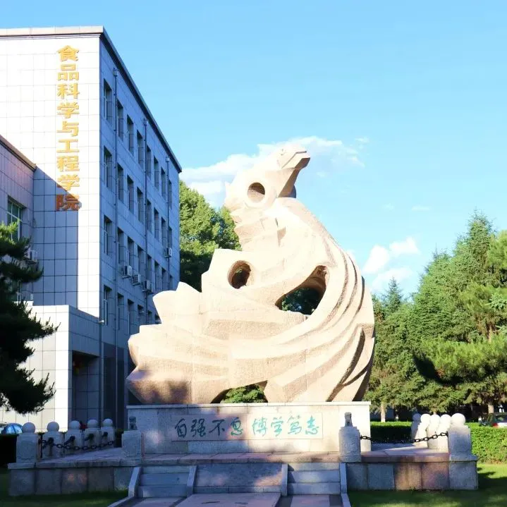 为什么篮球传说的训练方法能帮助你快速进步_0