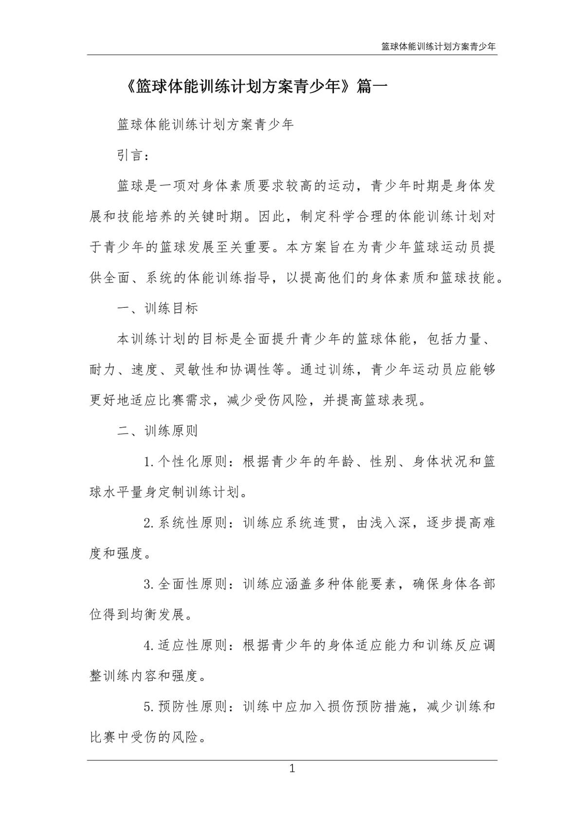绳梯训练篮球_2